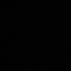 Meet your Posher, Riley